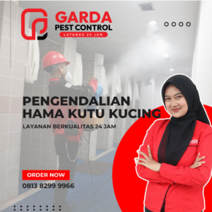 Solusi Anti Kutu Kucing Paling Efektif dari Garda Pest Bekasi