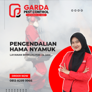 Pest Control Fogging Nyamuk Bekasi | Solusi Profesional & Harga Terjangkau