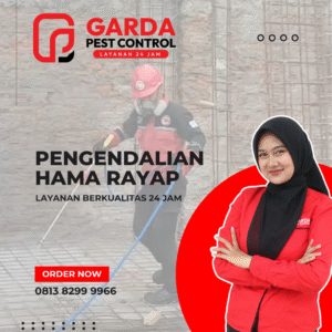 Jasa ANti Rayap Terdekat di Bekasi