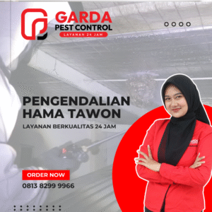 Jasa Pembasmi Tawon Terdekat di Bekasi