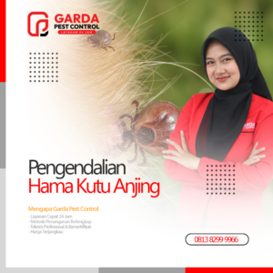 Jasa Pembasmi Caplak Kutu Anjing Terdekat di Bekasi Garda Pest Control