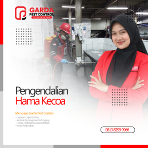 Jasa Pembasmi Kecoa Terdekat & Terbaik di Bekasi