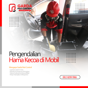Jasa Pembersih Kecoa di Mobil Terdekat di Bekasi Bergaransi