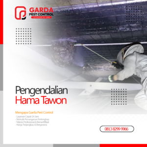 Jasa Pest Control Kutu Kasur di Bekasi dengan Teknologi Steam Cleaning Bahan Kimia Rendah Toksisitas