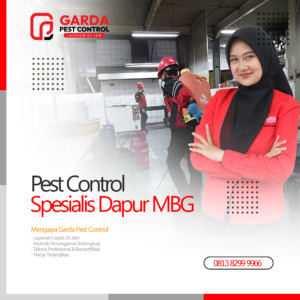 Pest Control Spesialis Dapur MBG SPPG di Bekasi