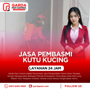 Jasa Pembasmi Kutu Kucing di Rumah Bergaransi Bekasi
