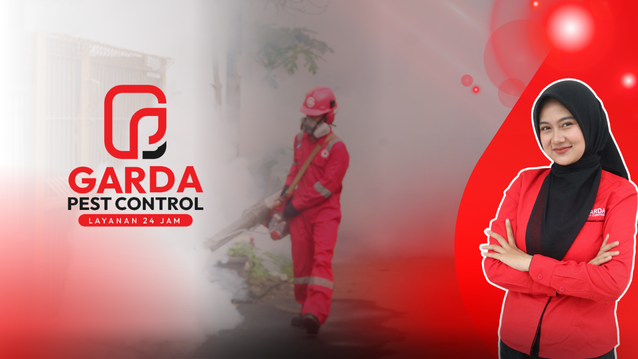 Jasa Fogging Nyamuk Murah Bekasi: Perlindungan Efektif dan Terjangkau dari Agata Pest Control