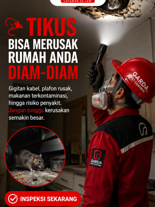 Jasa Pembasmi Tikus Yang ada di Bekasi Kecamatan Rawalumbu