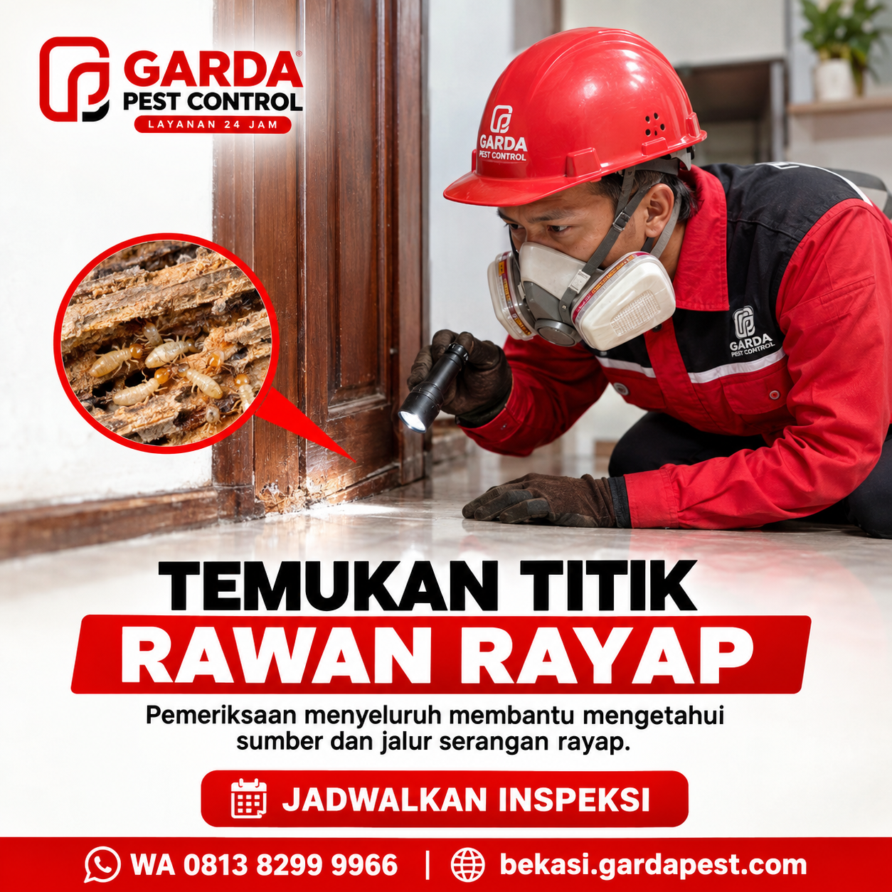 Cara Kerja Sistem Umpan Rayap Baiting untuk Membasmi Koloni Sampai Ratu