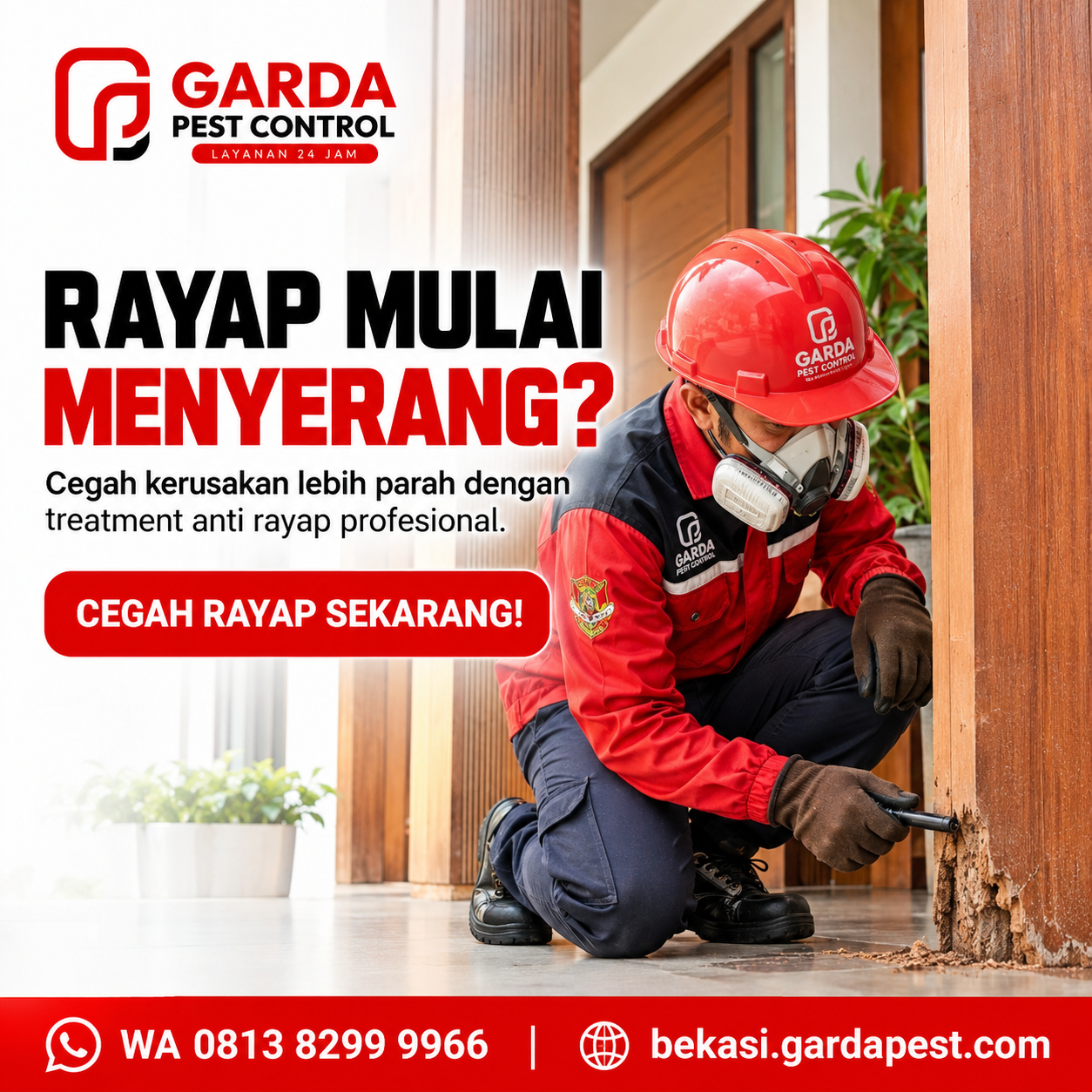 Cara Kerja Sistem Umpan Rayap Baiting untuk Membasmi Koloni Sampai Ratu